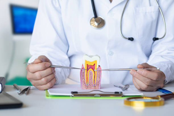 Best Emergency Dental Care for Abscessed Tooth in Vass, NC